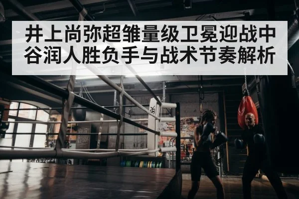 boxer training