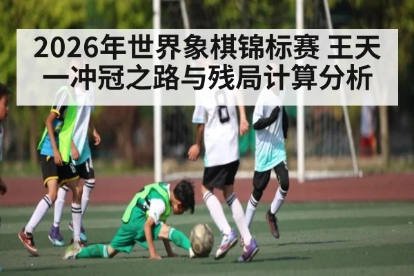 2026年世界象棋锦标赛 王天一冲冠之路与残局计算分析 - hth